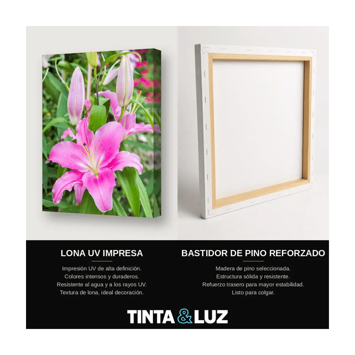LIRIO ROSA II