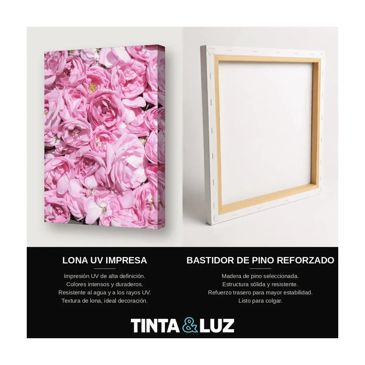 ROSAS FUCSIA