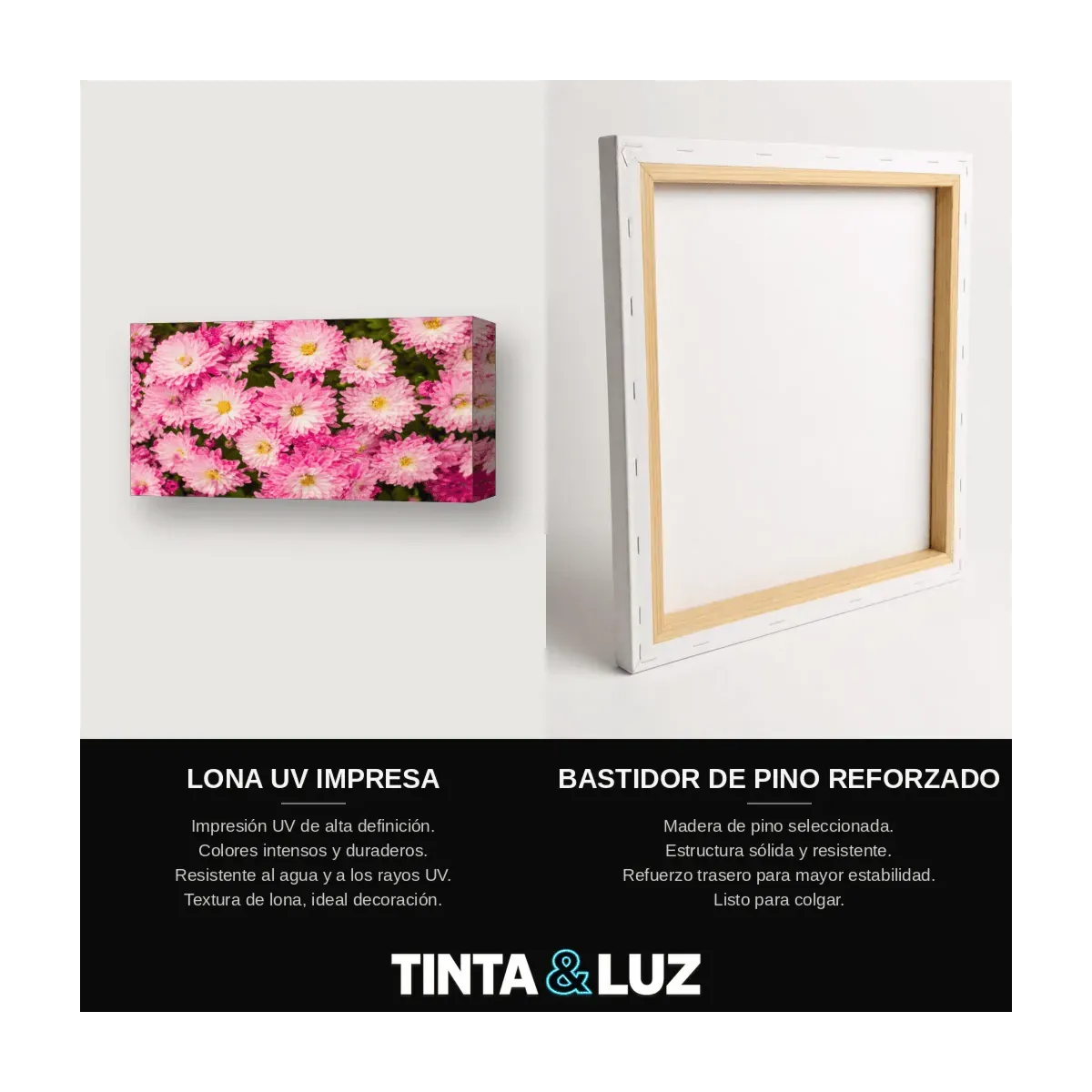 ROSAS DURAZNO IV