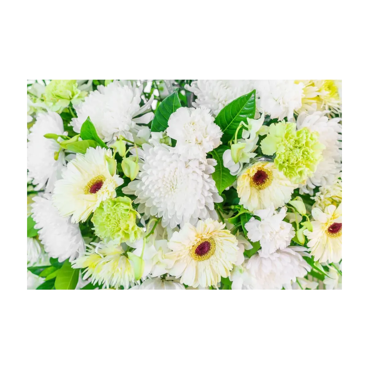 FLORES BLANCAS IV
