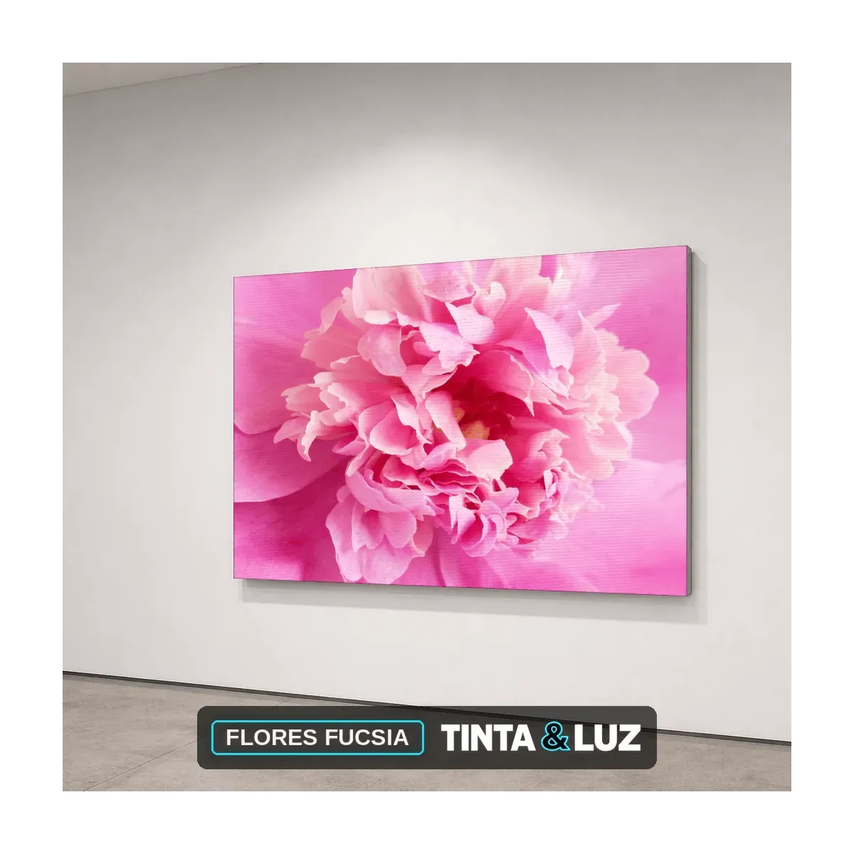 FLORES FUCSIA