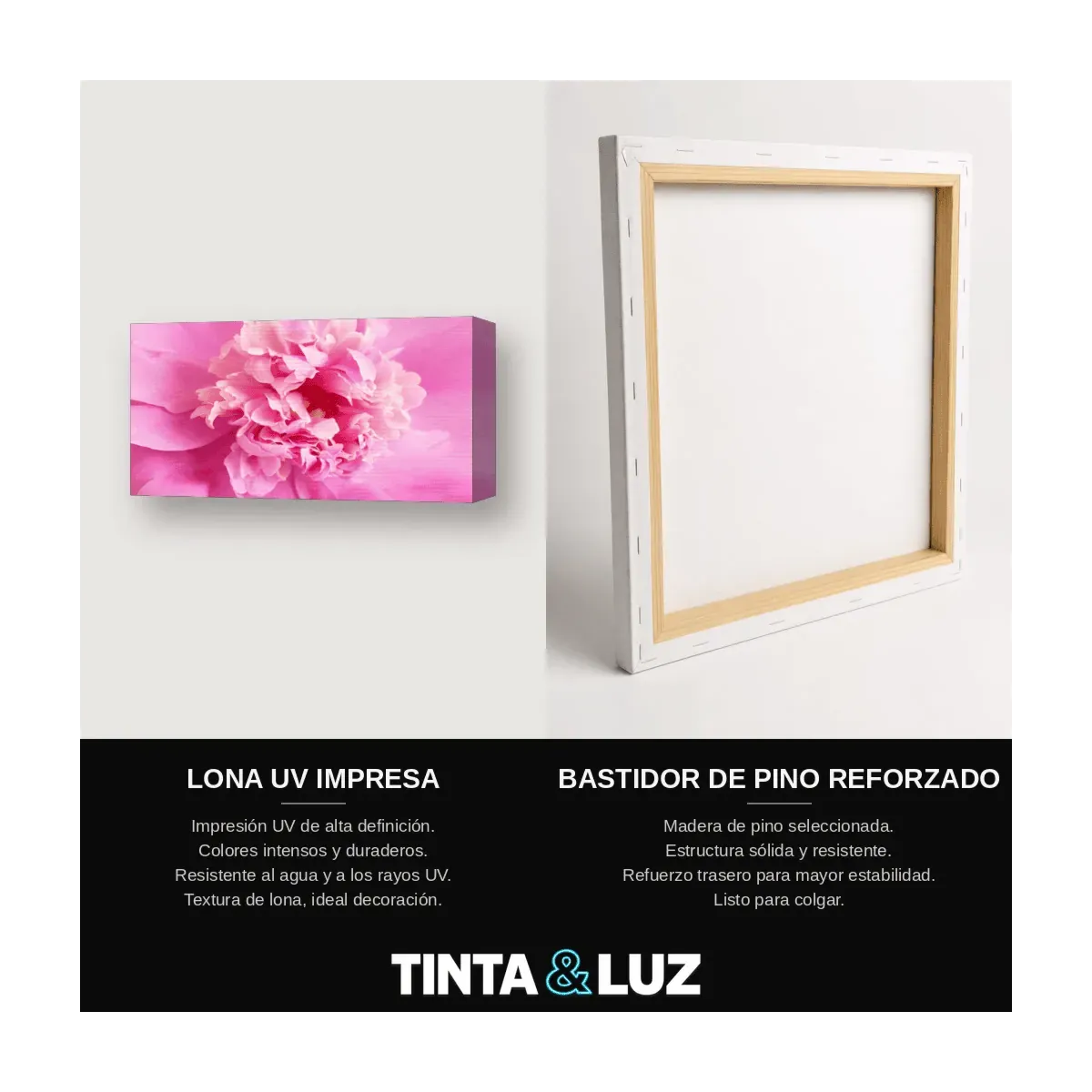 FLORES FUCSIA