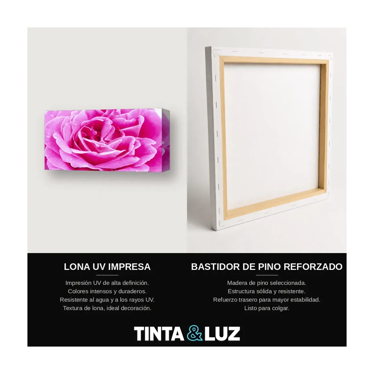 ROSA ROSADA III