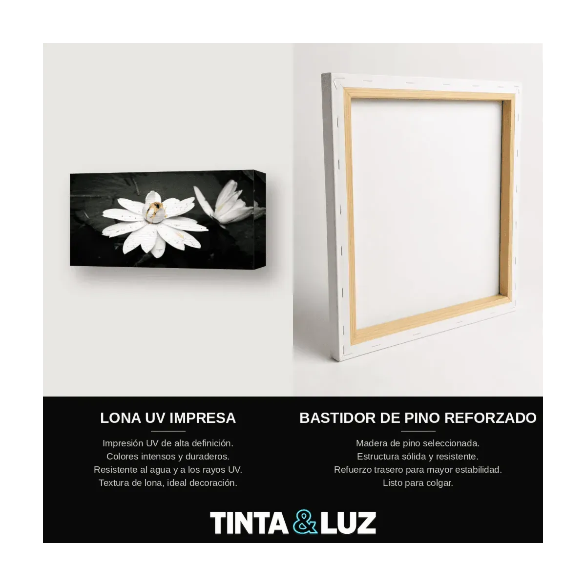 MARGARITA BLANCA