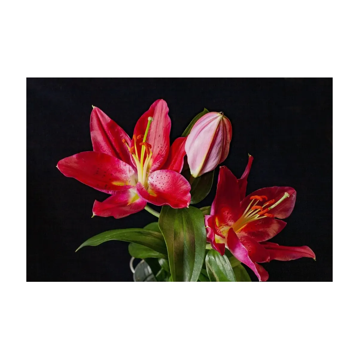 FLORES PASTEL