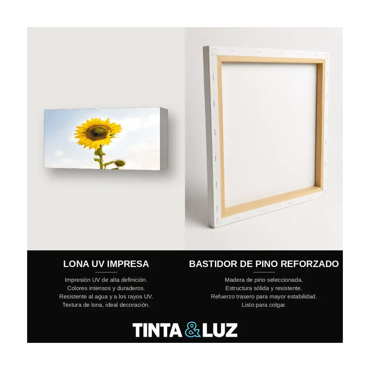 GIRASOLES AL SOL