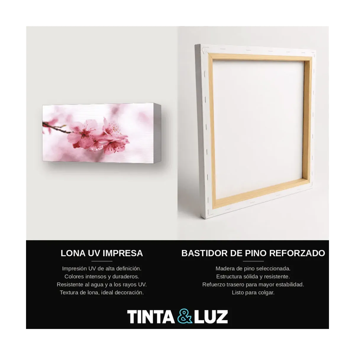 CEREZO EN FLOR