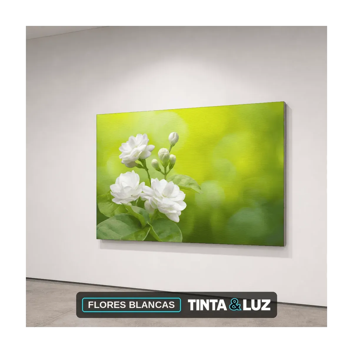 FLORES BLANCAS