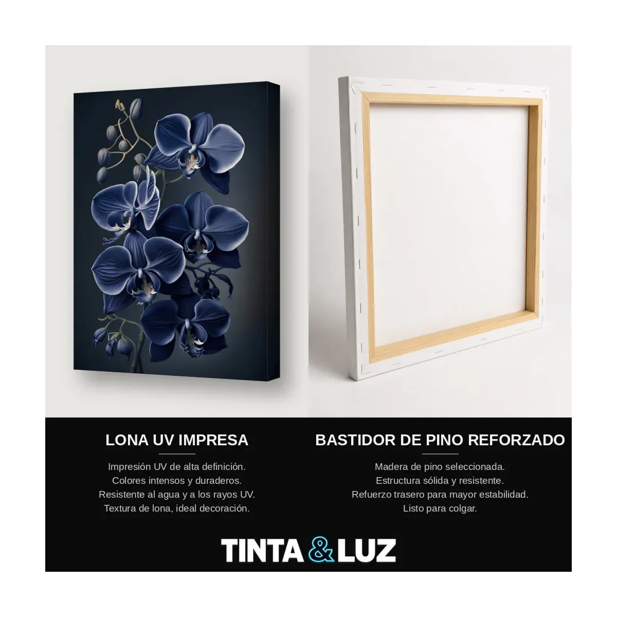 ORQUÍDEAS AZULES
