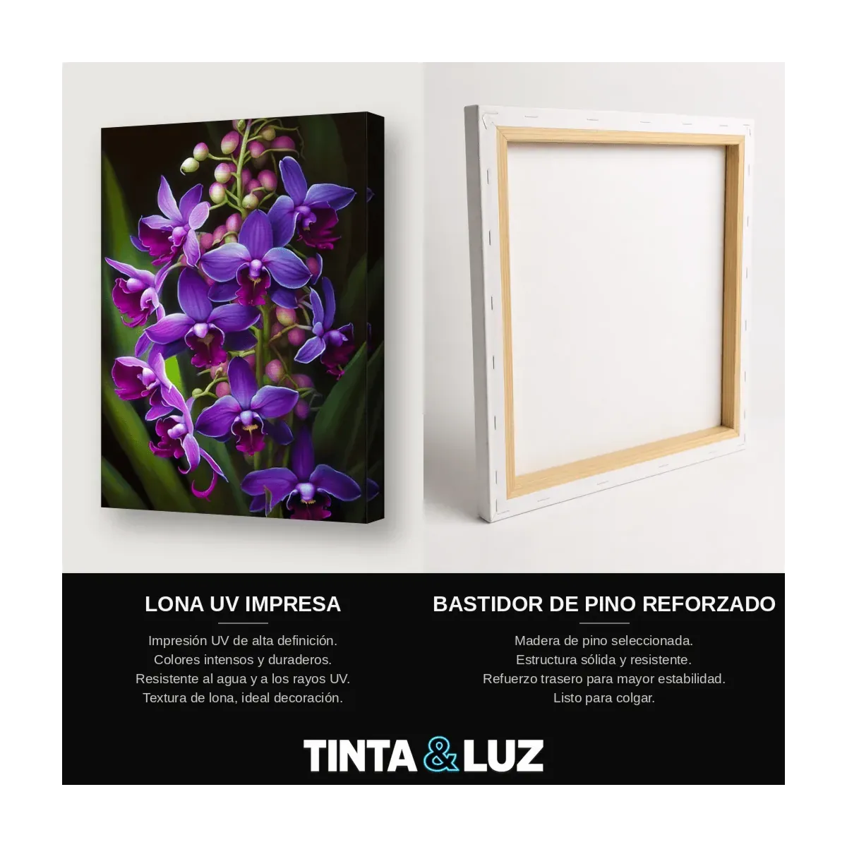 ORQUÍDEAS VIOLETAS