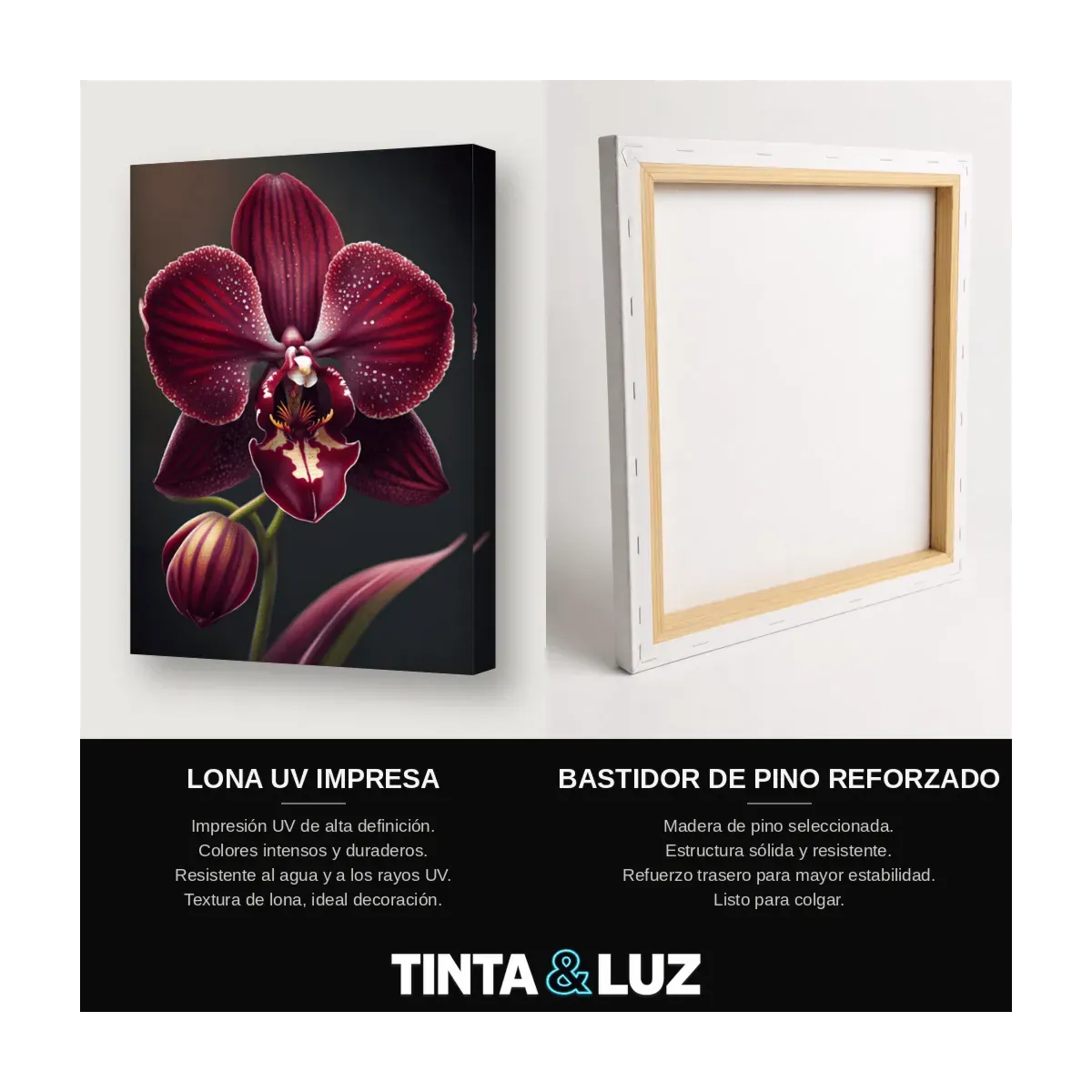ORQUÍDEA ROSA