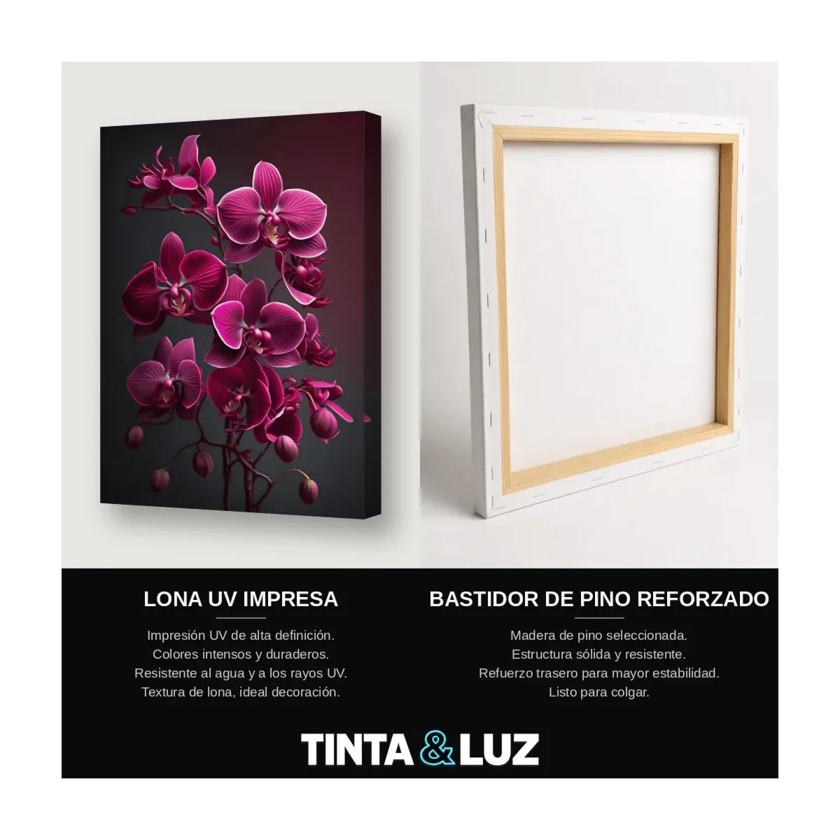 ORQUÍDEAS FUCSIA II