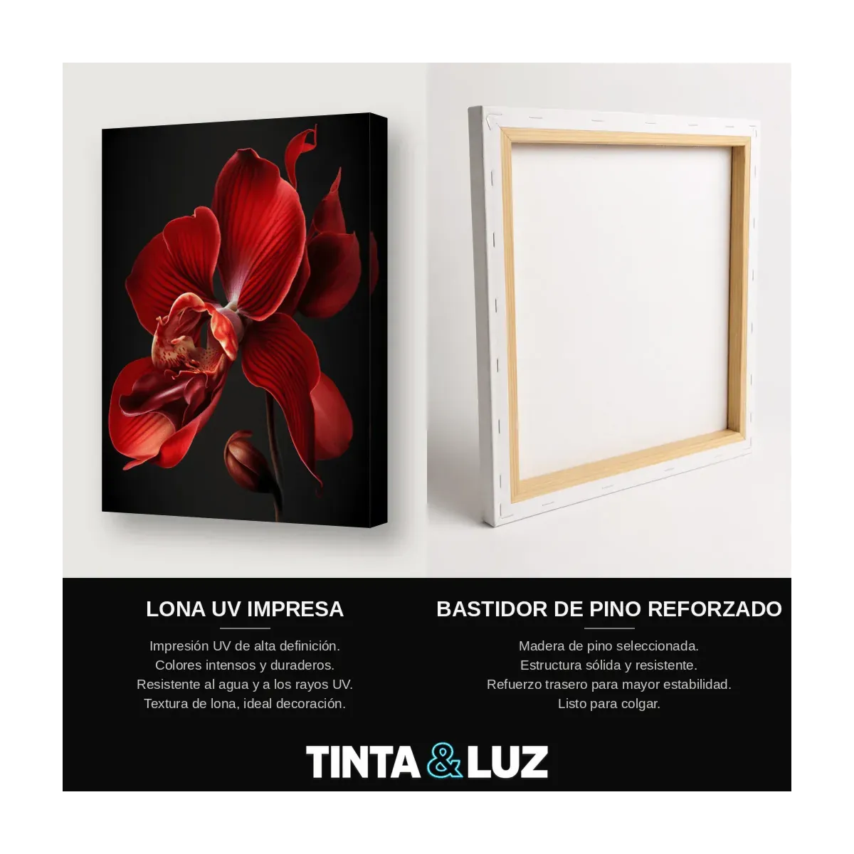 ORQUÍDEA ROJA