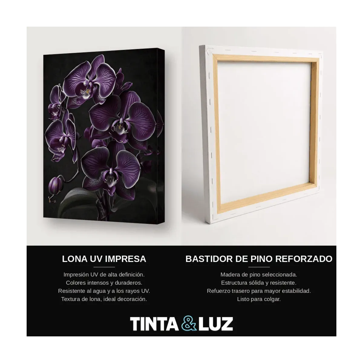 ORQUÍDEAS VIOLETAS III