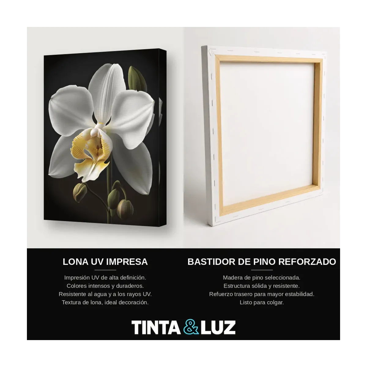 ORQUÍDEA BLANCA