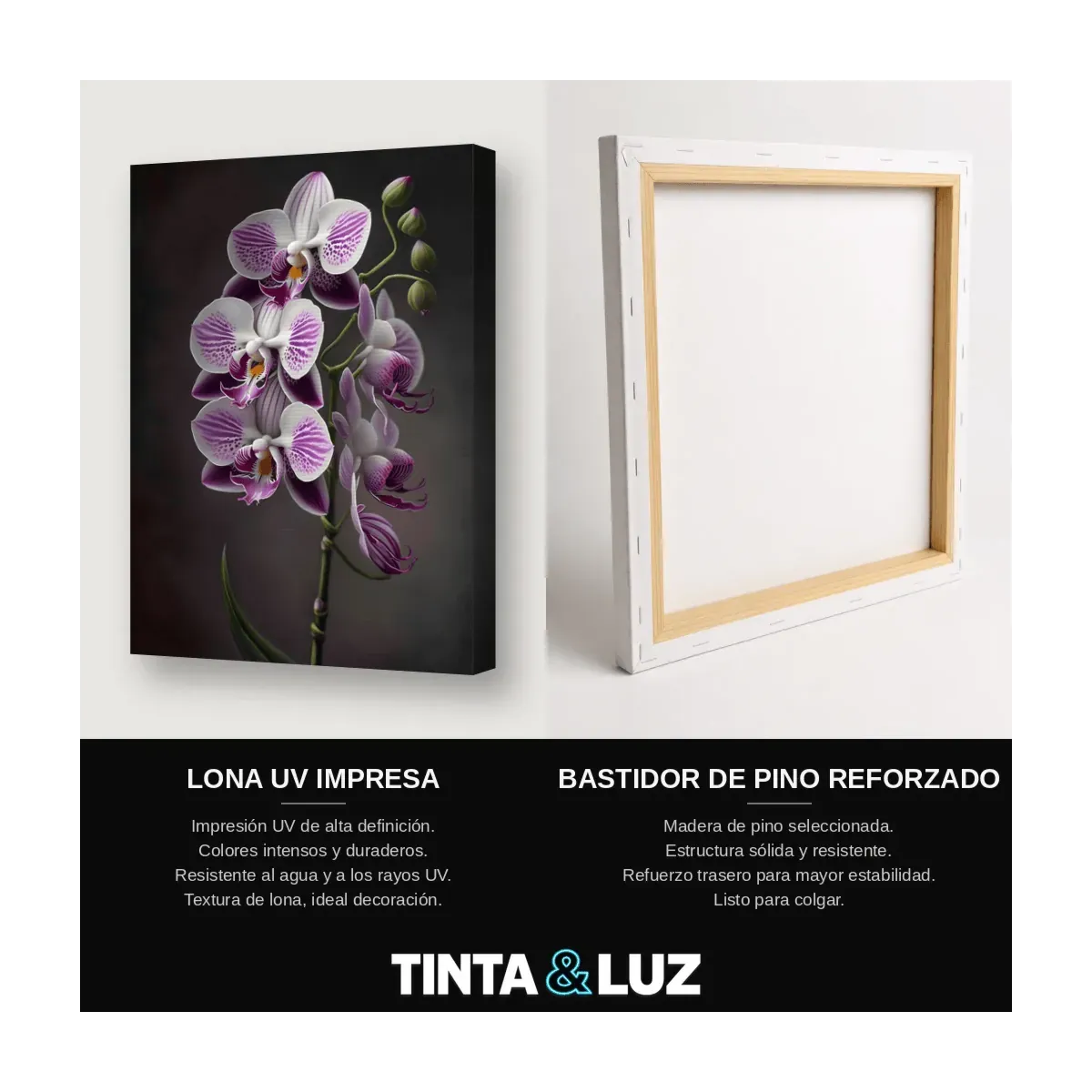 ORQUÍDEAS LILA