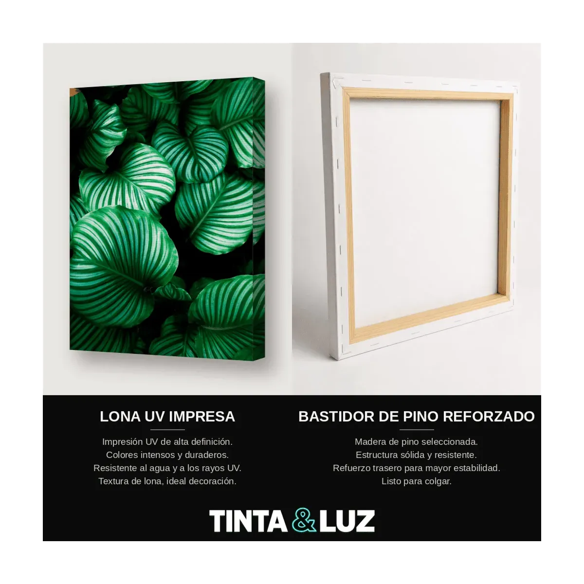 HOJAS TROPICALES