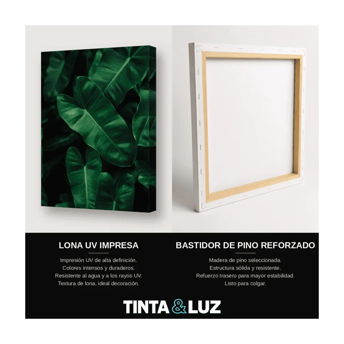 FOLLAJE VERDE