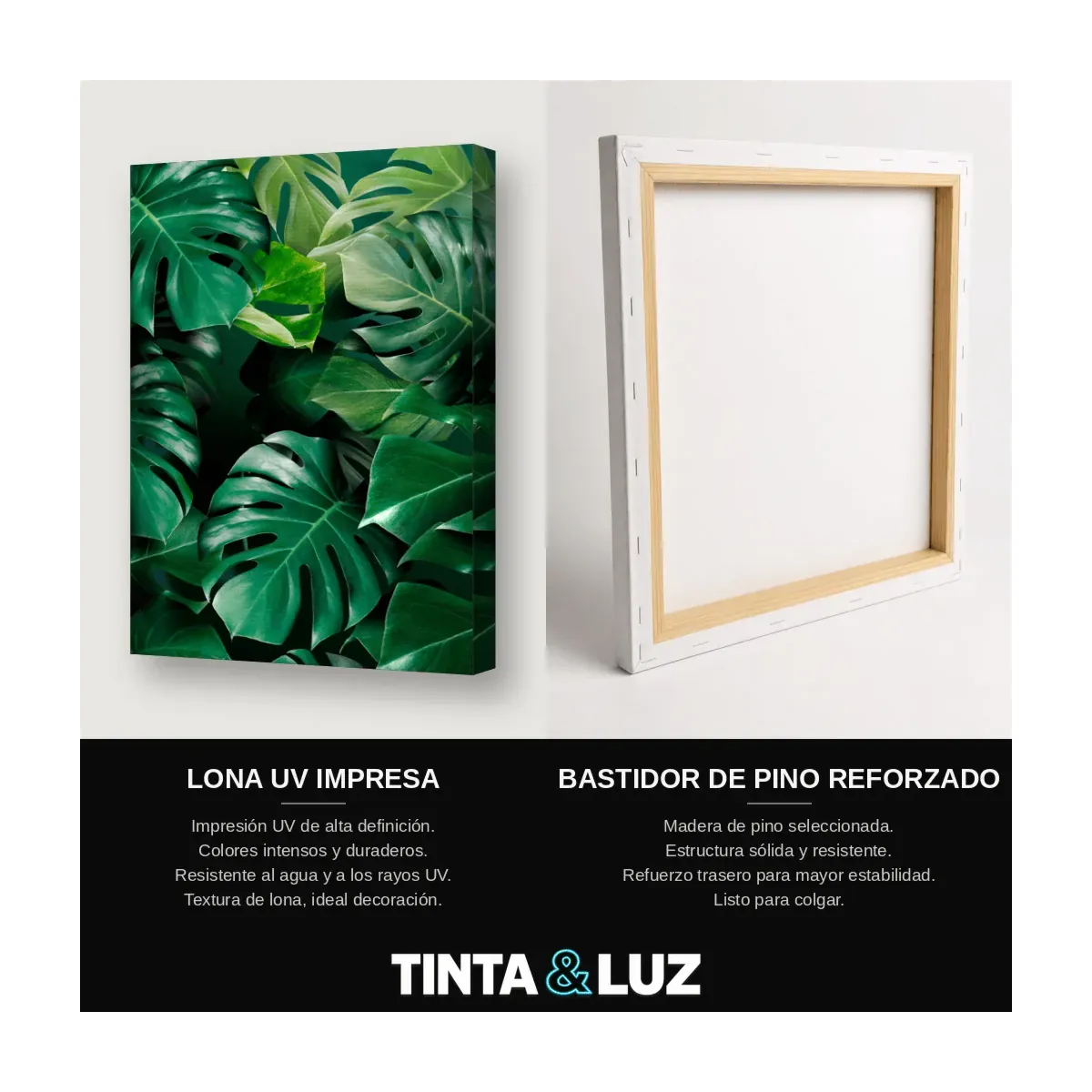 HOJA MONSTERA