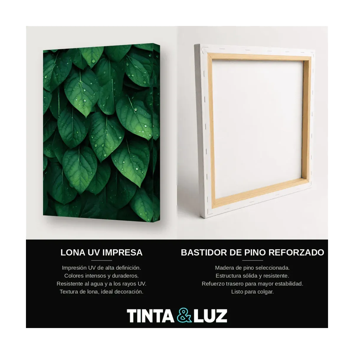 HOJAS VERDES