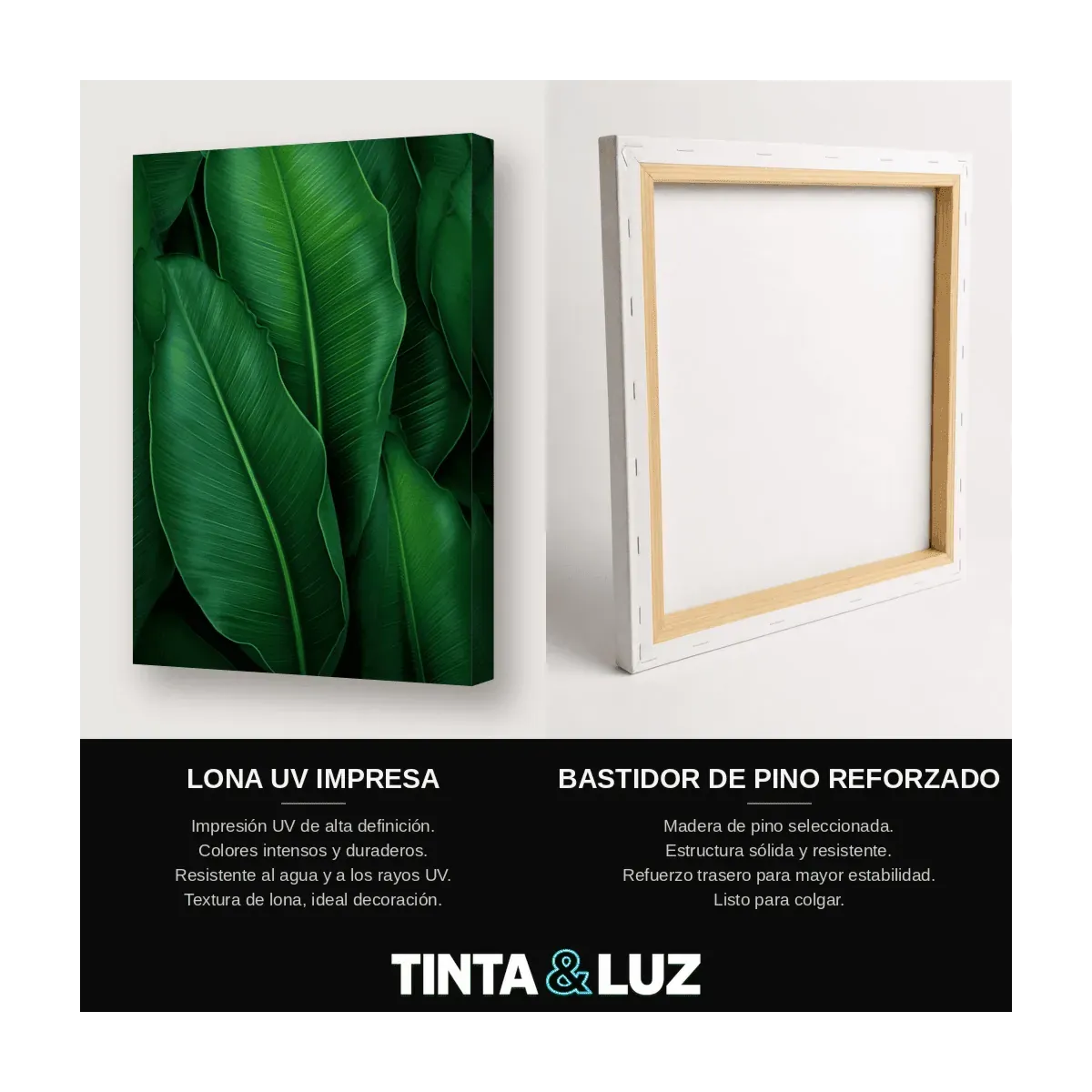 HOJAS LANCEOLADAS