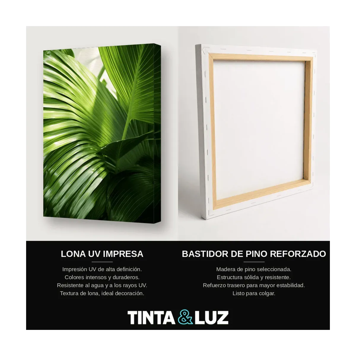 PALMERA VERDE