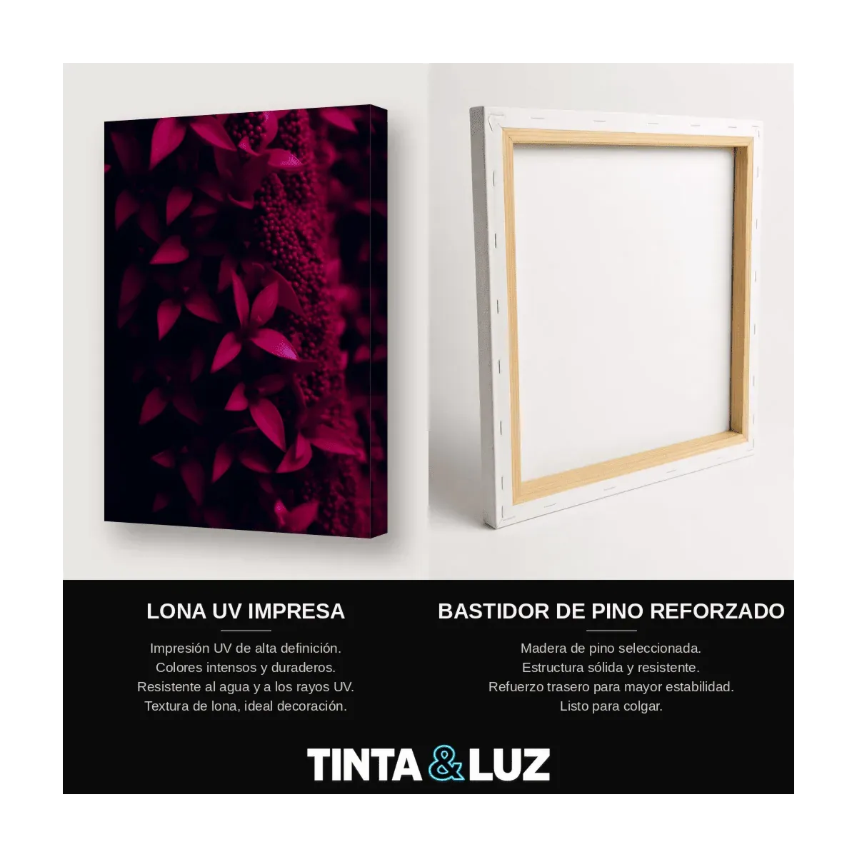 HOJAS FUCSIA