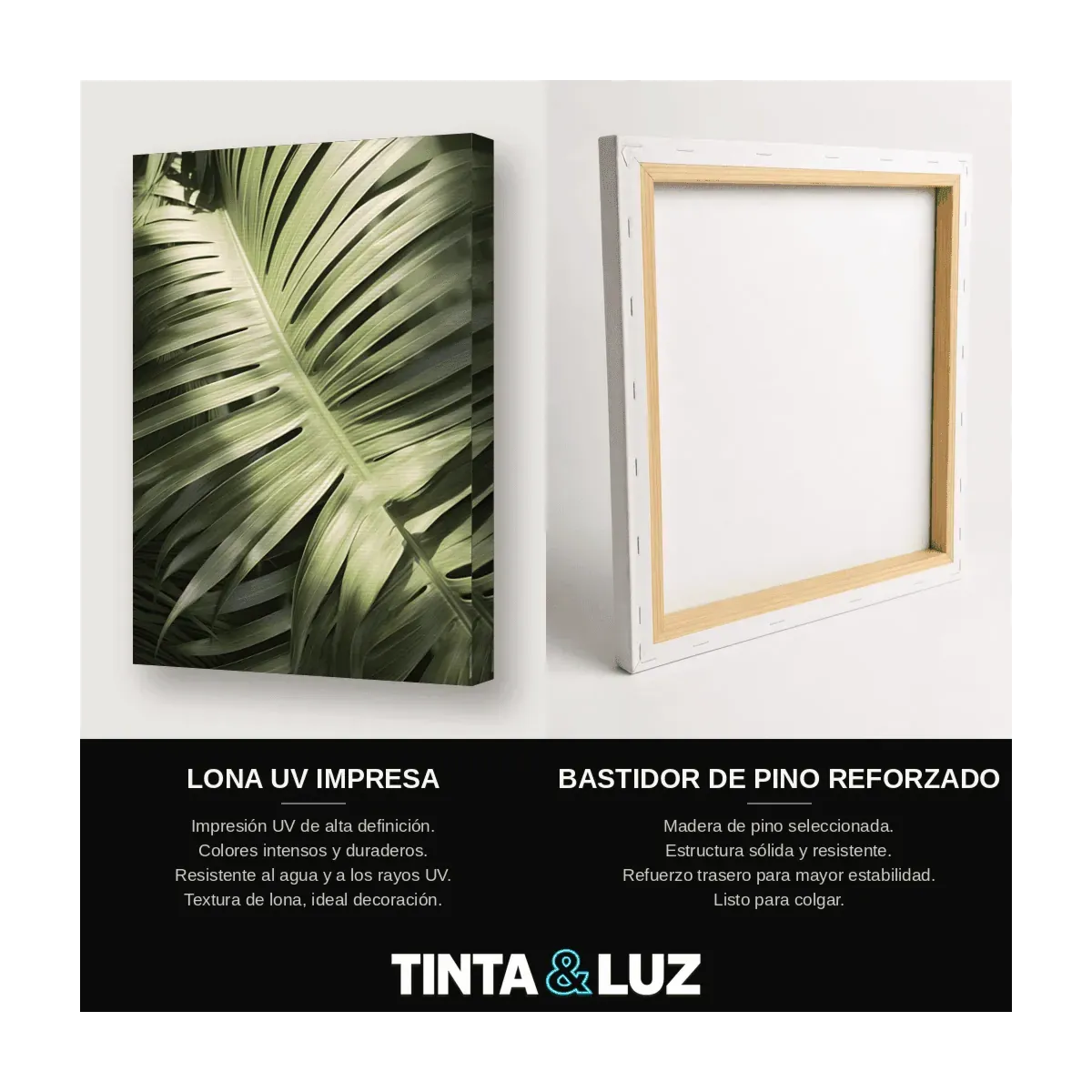 PALMERA PLATEADA