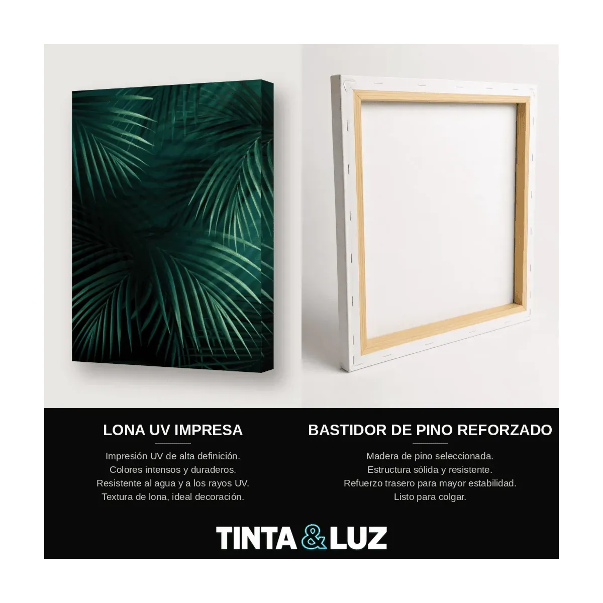 PALMERA OSCURA