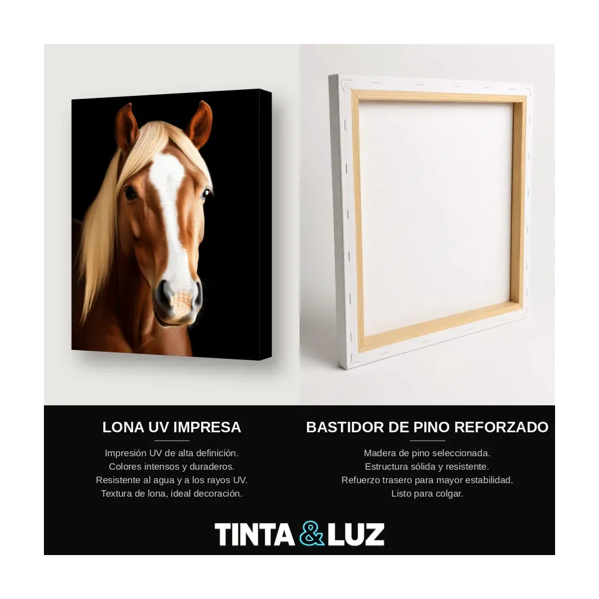 CABALLO Y CRIN BLANCA