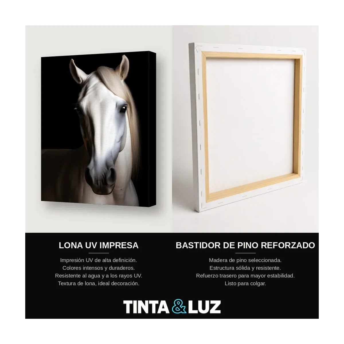 CABALLO BLANCO