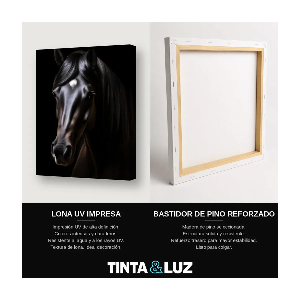 CABALLO OSCURO