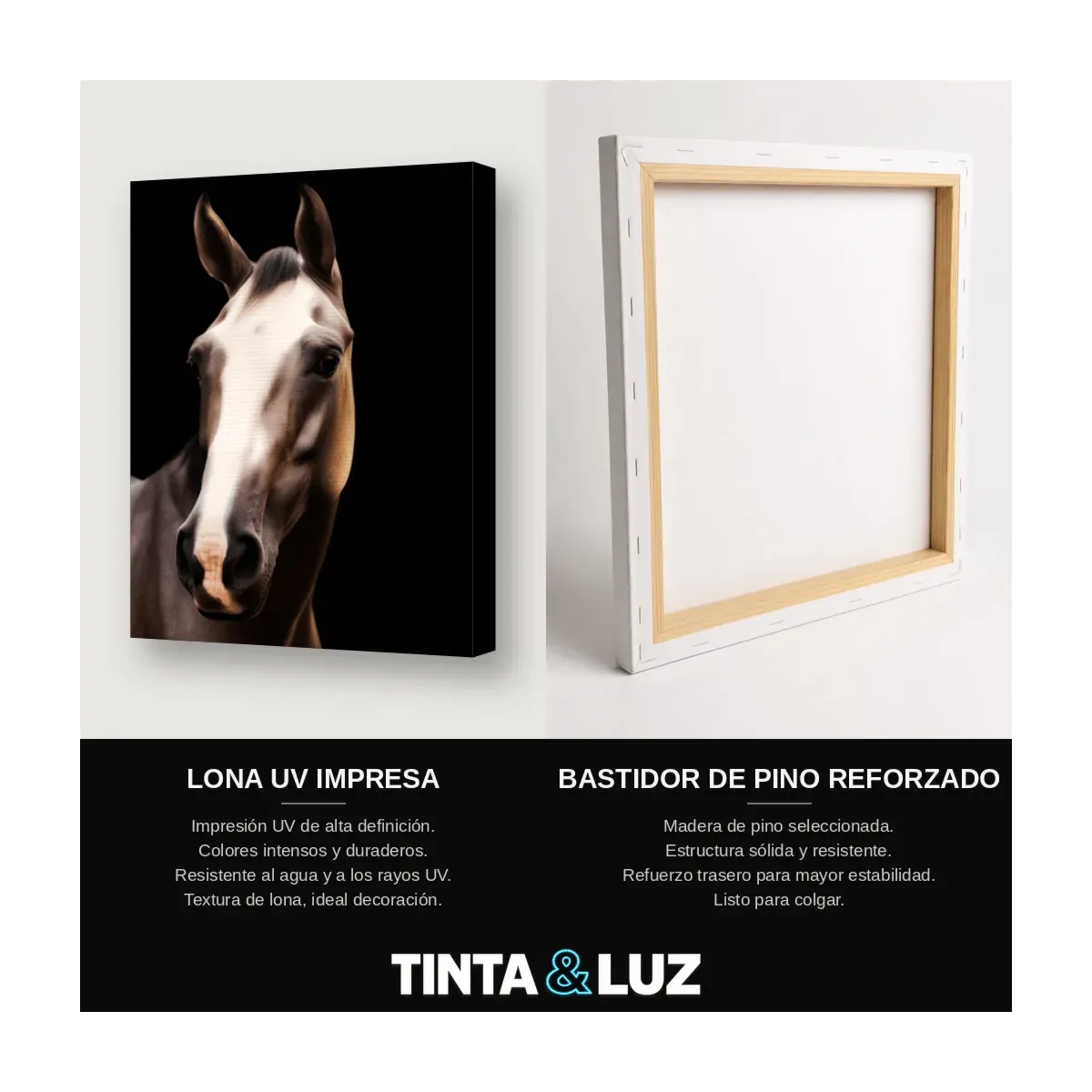 CABALLO RETRATO