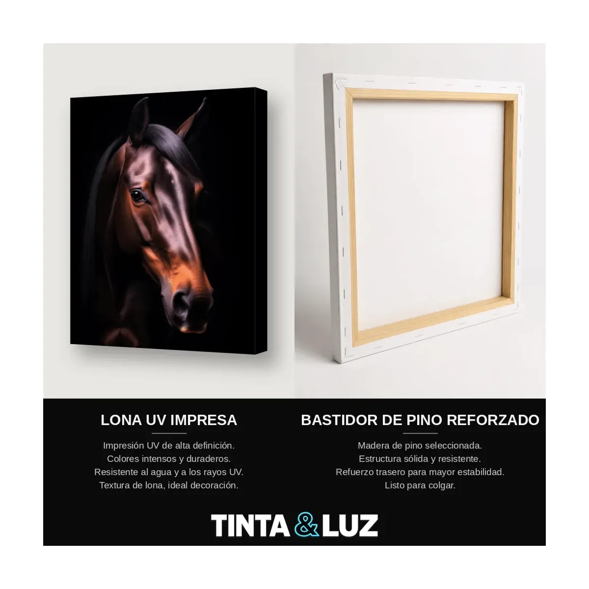 CABALLO CON BRIDA