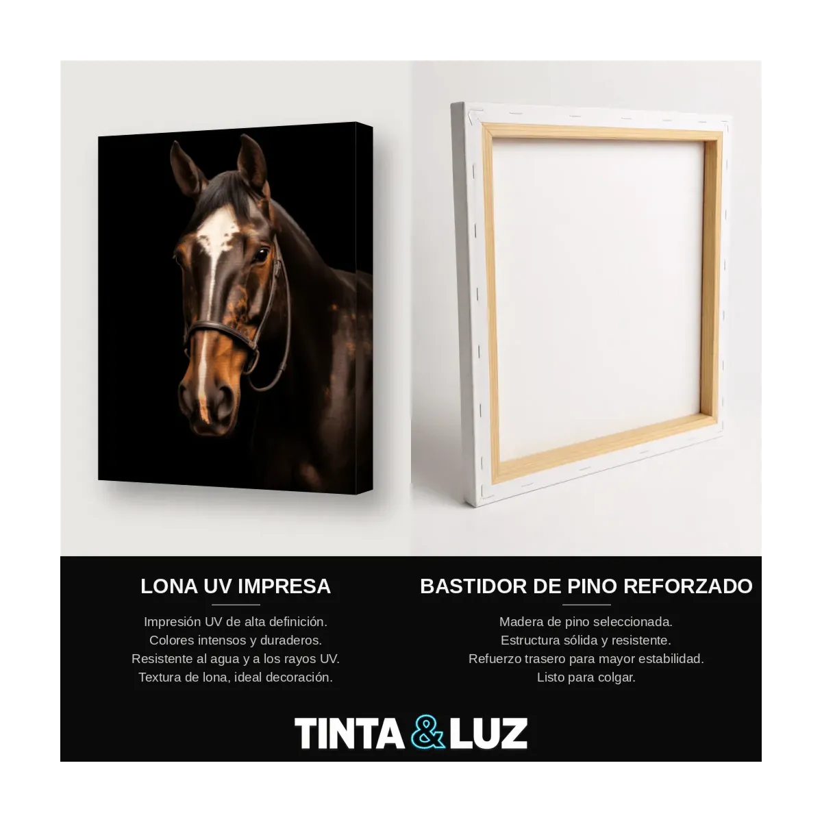 CABALLO CON BRIDA II