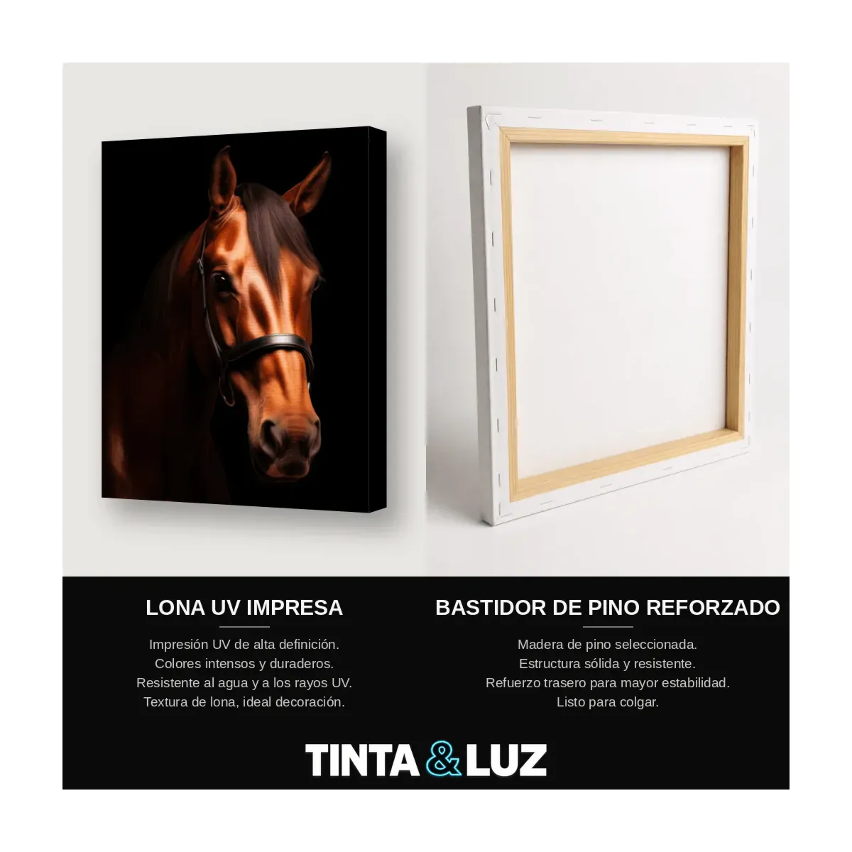 CABALLO CASTAÑO II