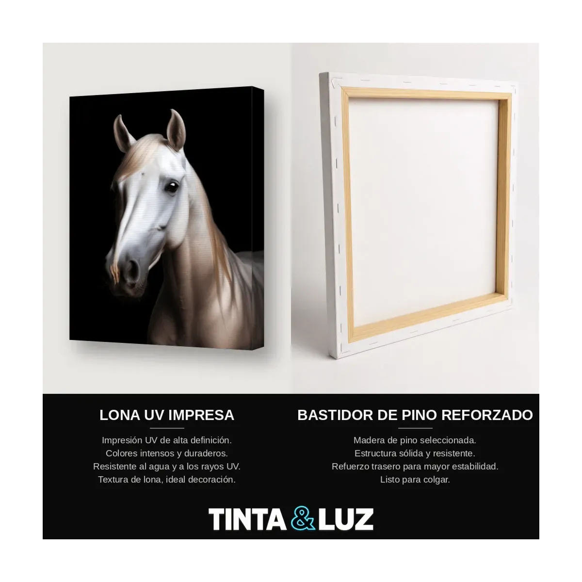 CABALLO BLANCO II