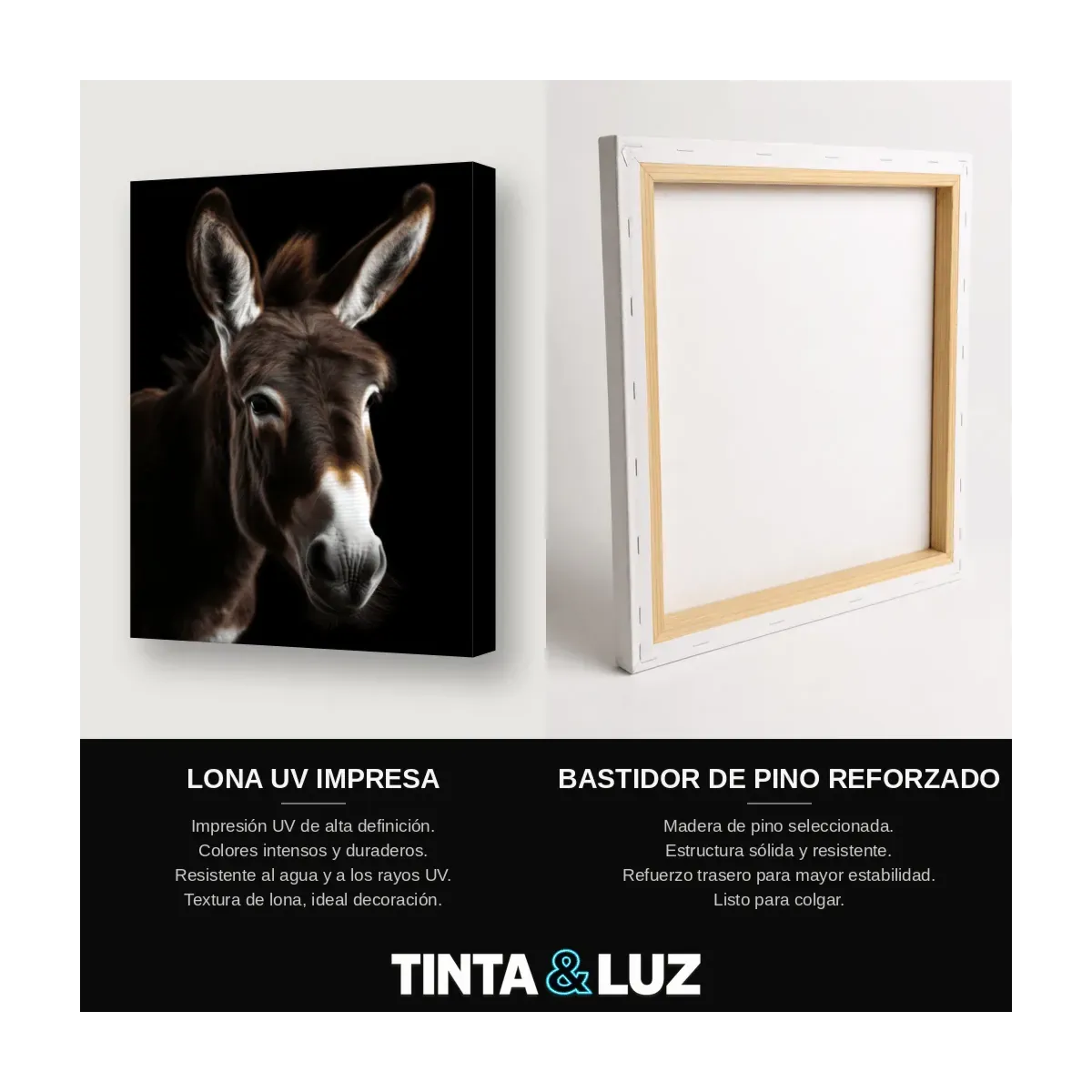 BURRO