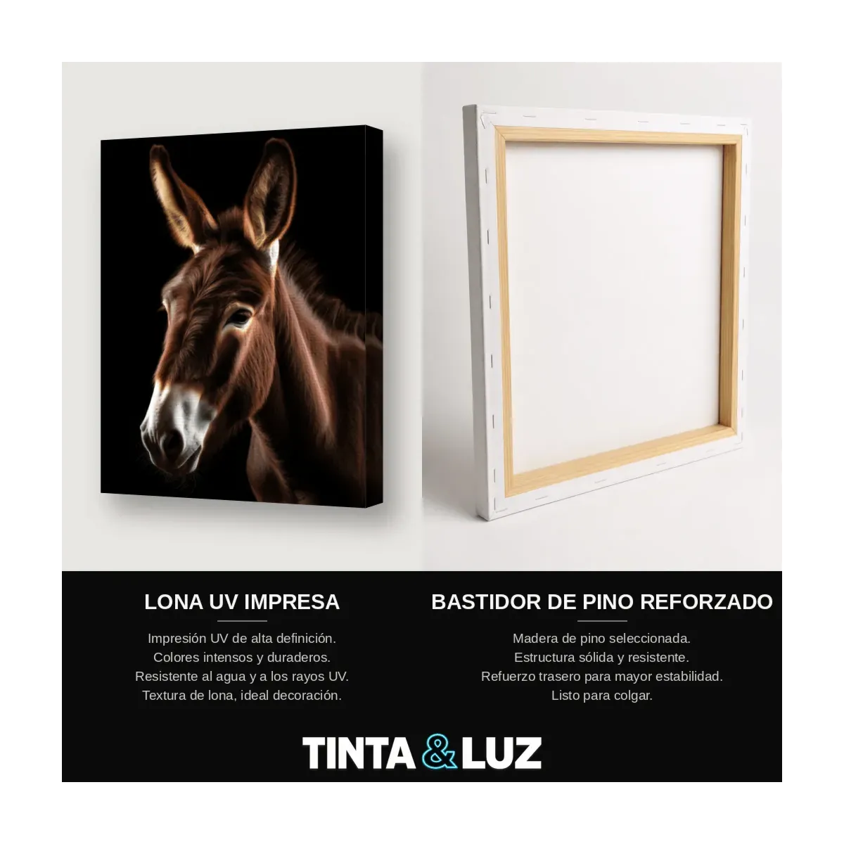 BURRO RETRATO