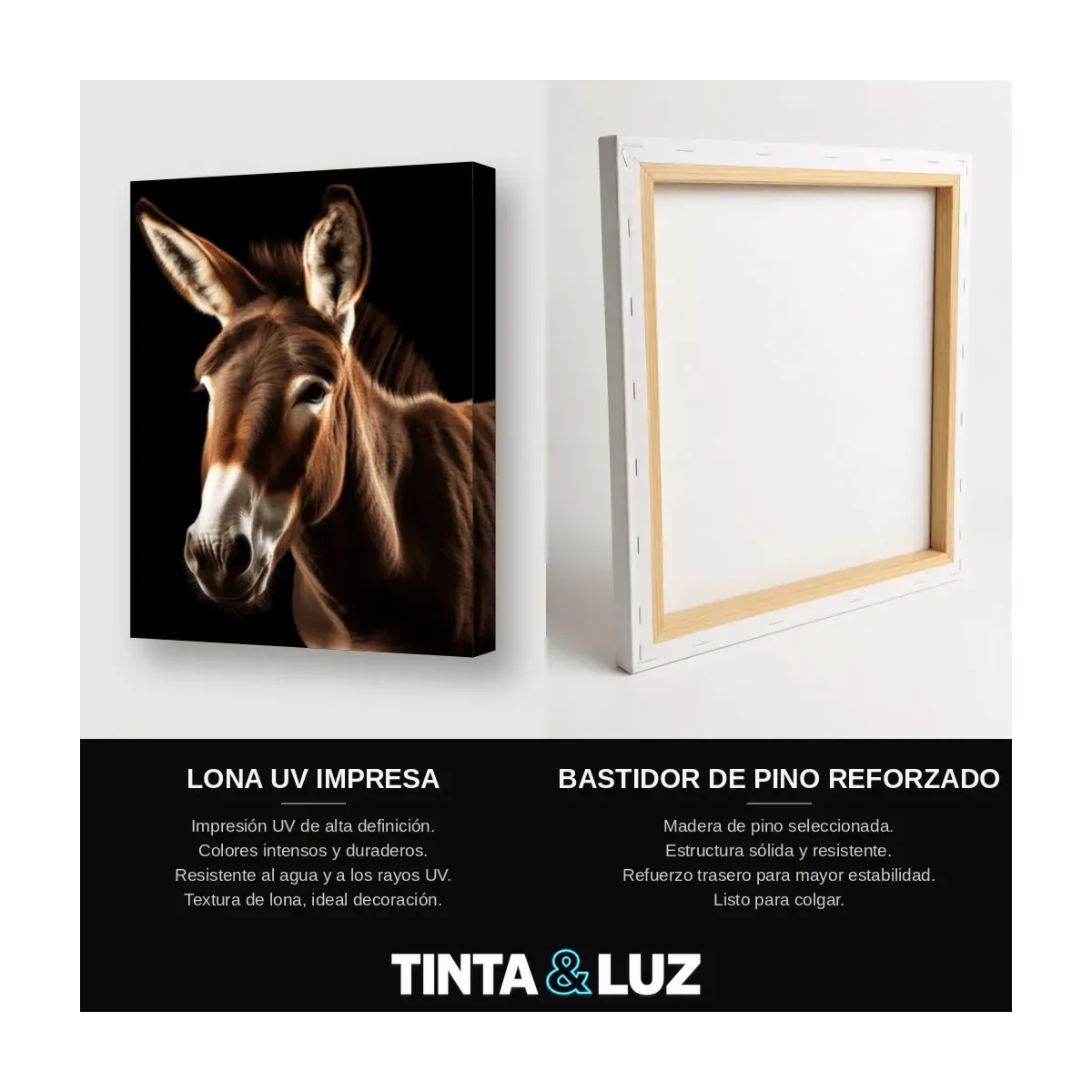 BURRO MARRÓN