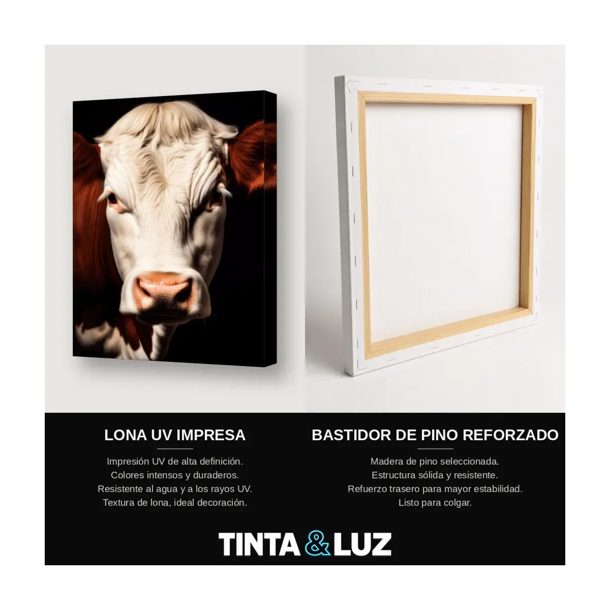 VACA BLANCA Y NEGRA