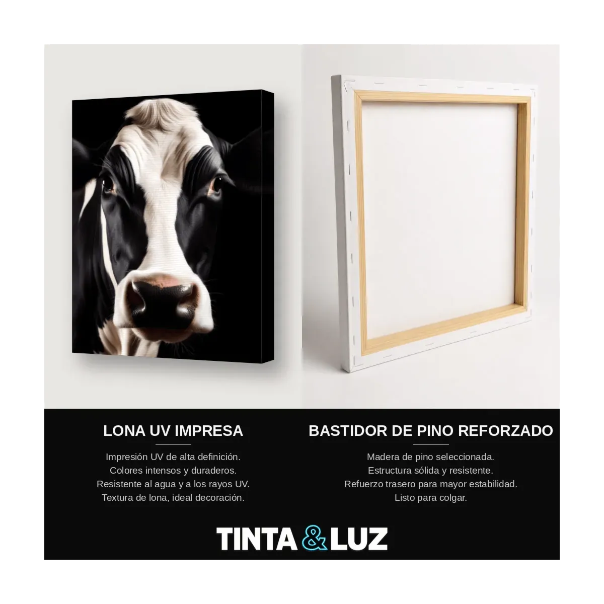 VACA HOLSTEIN