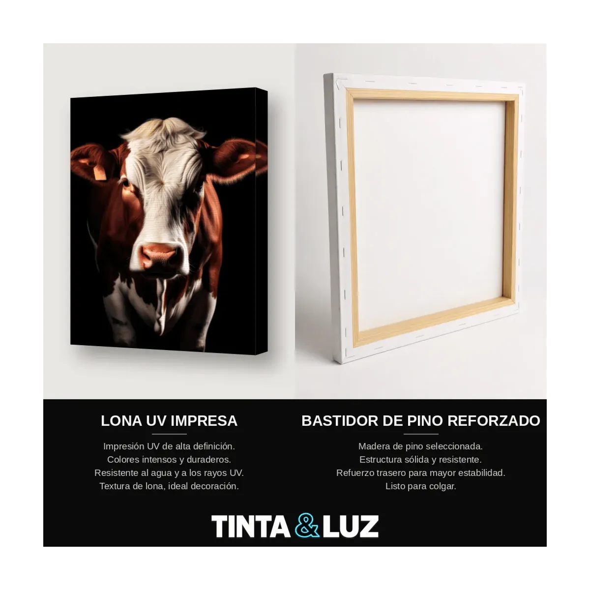 VACA RETRATO