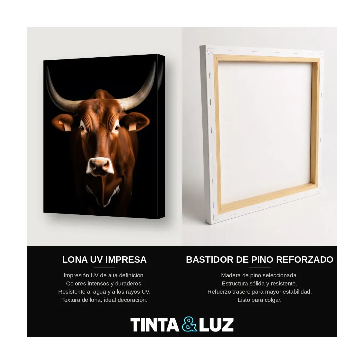 TORO CON CUERNOS