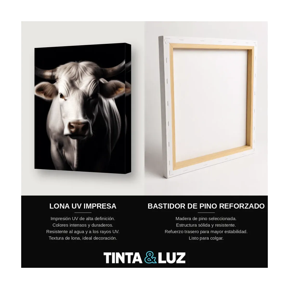 VACA BLANCA