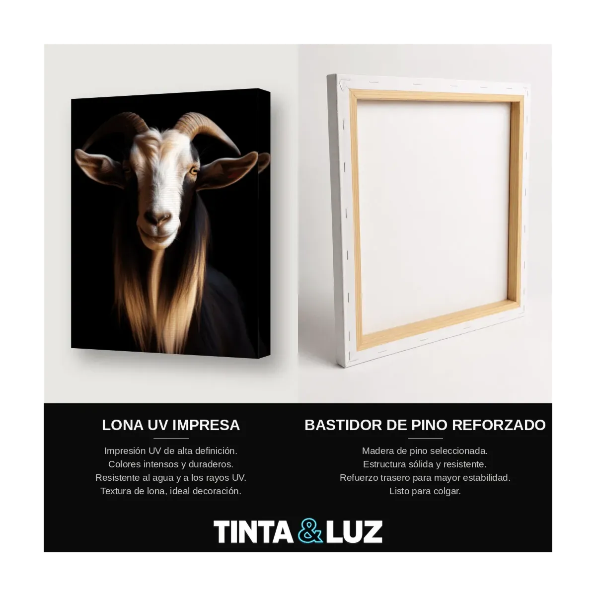 CABRA BLANCA Y NEGRA