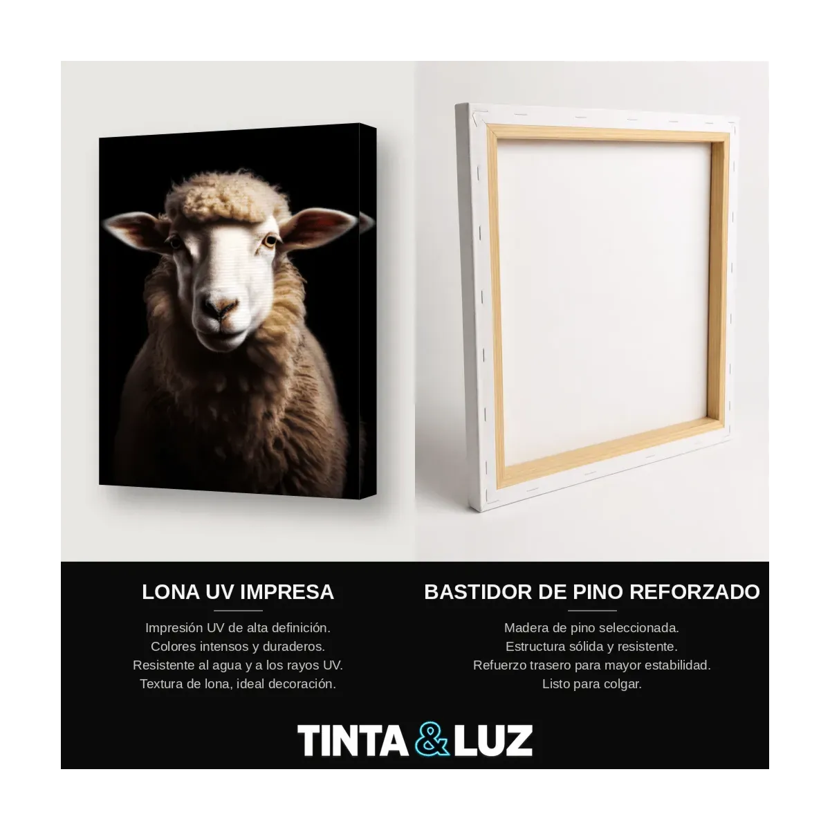 OVEJA LANUDA