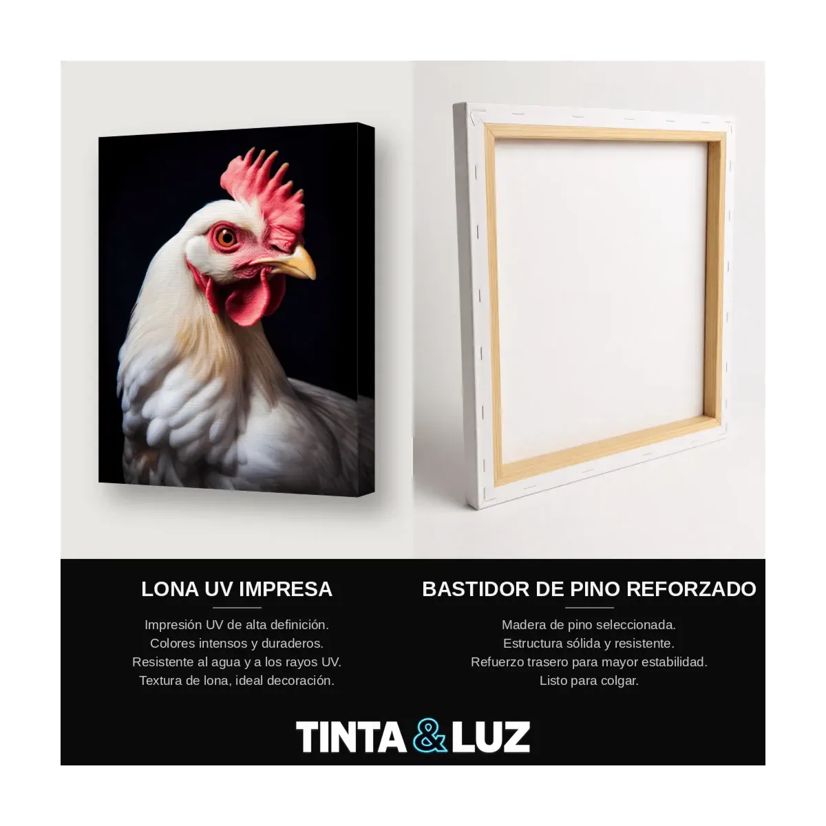 GALLINA BLANCA