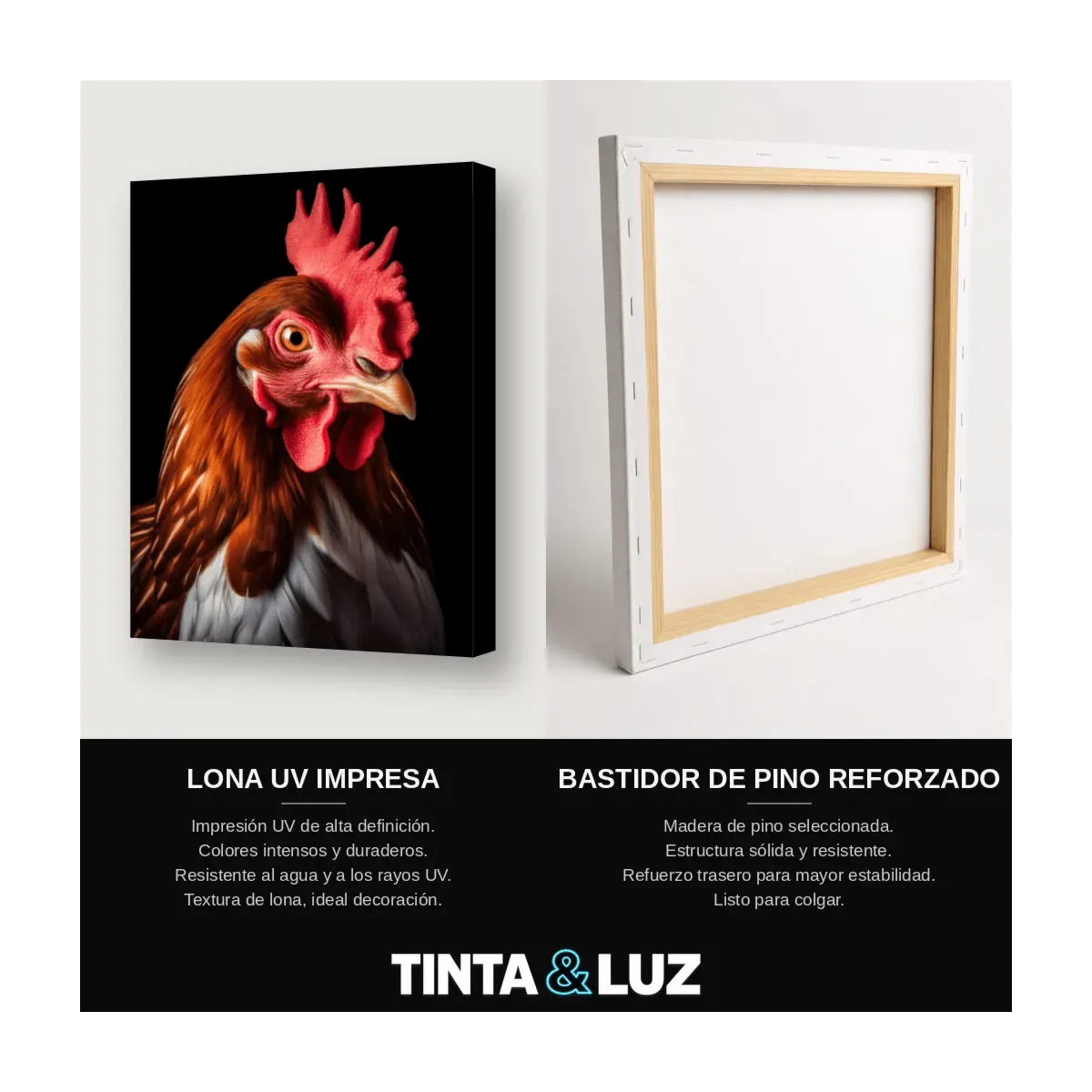 GALLINA MARRÓN