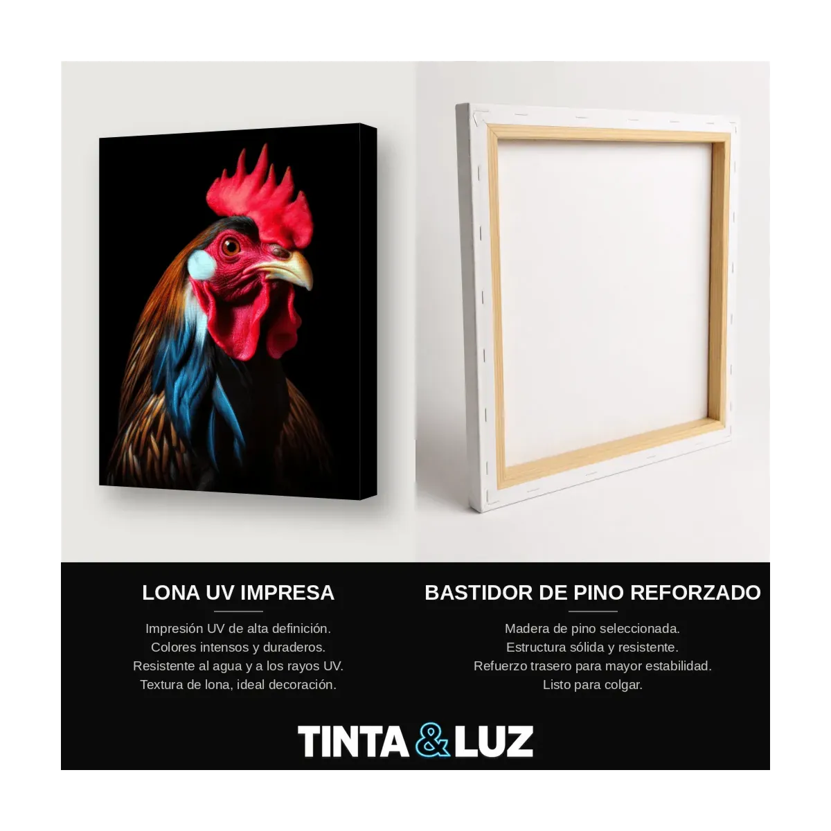 GALLO RETRATO
